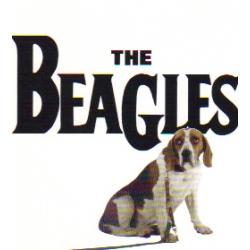 Beagles - The Beagles